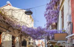 /news/cjwd/8285.html