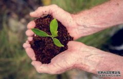 /news/cjwd/8294.html