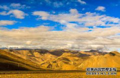 /news/cjwd/8293.html