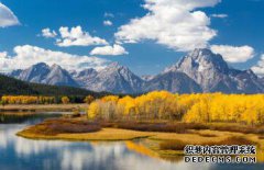 /news/cjwd/8304.html