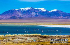 /news/cjwd/8320.html