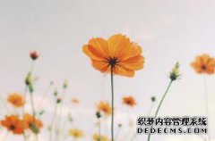 /news/cjwd/8325.html