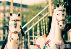 /news/cjwd/8331.html