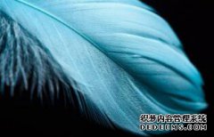 /news/cjwd/8124.html