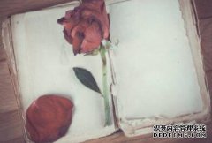 /news/cjwd/8164.html