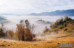 /news/cjwd/8179.html