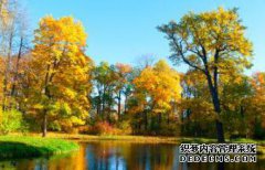 /news/cjwd/8181.html