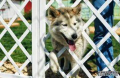 /news/cjwd/8199.html