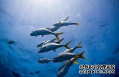 /news/cjwd/8201.html