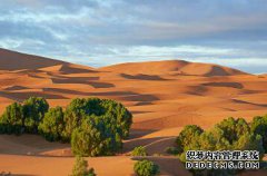 /news/cjwd/8206.html