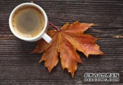 /news/cjwd/8211.html