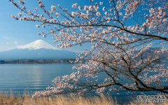 /news/cjwd/8242.html