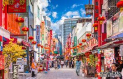 /news/cjwd/8246.html