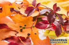 /news/cjwd/8360.html