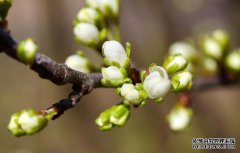 /news/cjwd/8362.html