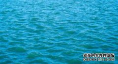 /news/cjwd/8371.html