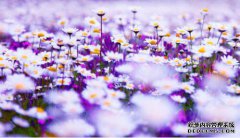 /news/cjwd/8375.html