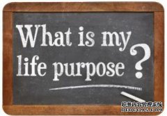 /news/cjwd/8378.html