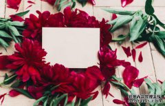 /news/cjwd/8383.html