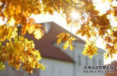 /news/cjwd/8396.html