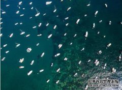 /news/cjwd/8420.html