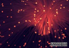 /news/cjwd/8442.html