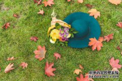 /news/cjwd/8471.html