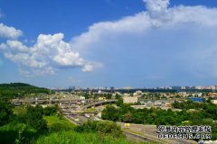 /news/cjwd/8472.html