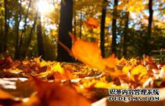 /news/cjwd/8483.html