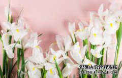 /news/cjwd/8479.html