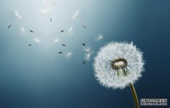 /news/cjwd/8482.html