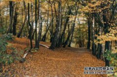 /news/cjwd/8491.html