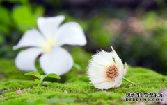 /news/cjwd/8495.html