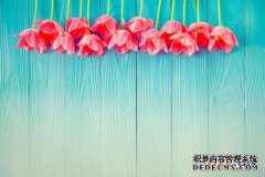 /news/cjwd/13261.html