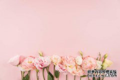 /news/cjwd/13271.html