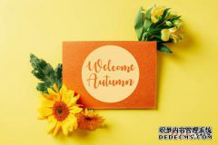 /news/cjwd/13284.html