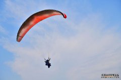 /news/cjwd/13604.html