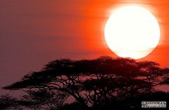 /news/cjwd/13607.html