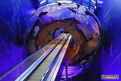 /news/cjwd/13610.html