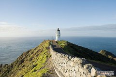 /news/cjwd/13718.html