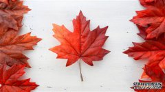 /news/cjwd/13734.html