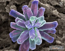 /news/cjwd/13786.html