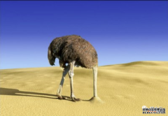 /news/cjwd/14141.html