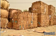 /news/cjwd/14782.html