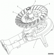 /news/cjwd/17524.html