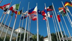 /news/cjwd/36816.html