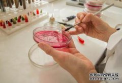 /news/cjwd/37544.html