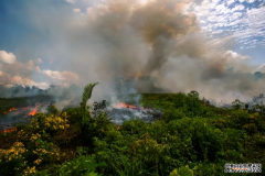 /news/cjwd/39155.html