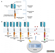 /news/cjwd/38930.html